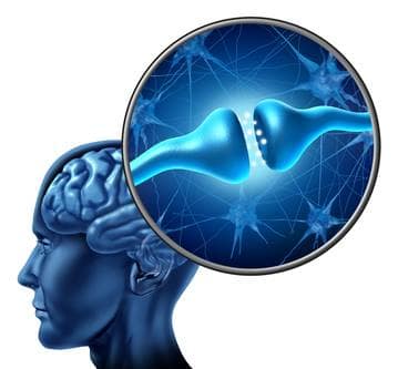 How the mind works Illustration of a human head with a magnified brain synapse